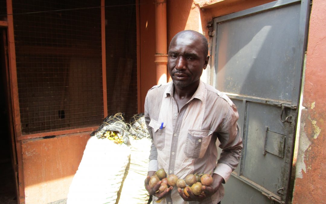 Kwania Abongomola Passion Fruit Farmer Eyes A Juice Factory In Lango